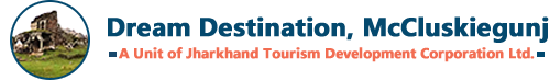 Dream Destination Logo